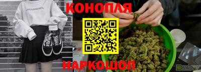 прущие грибы Тула